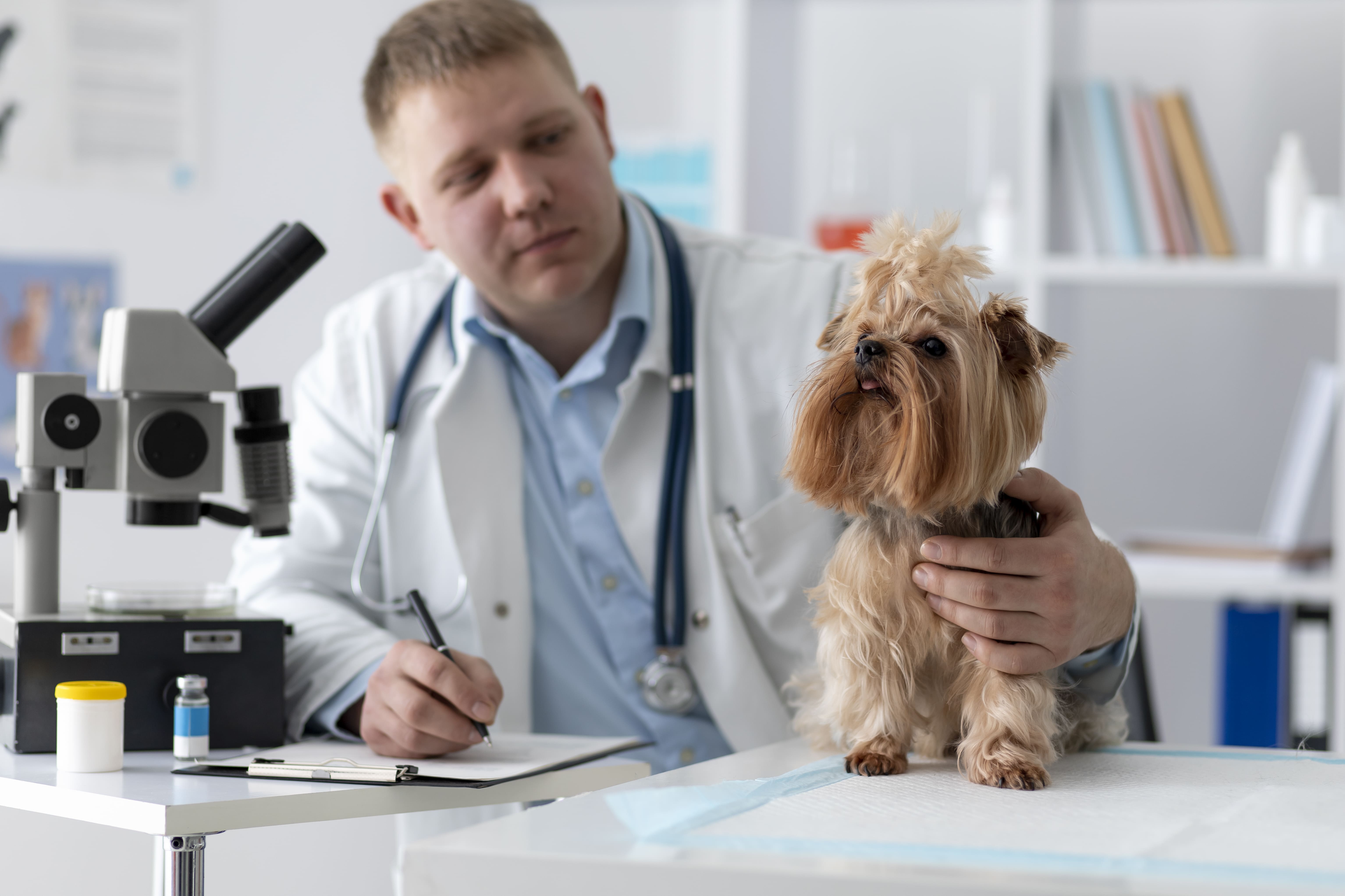 Exames veterinários laboratoriais